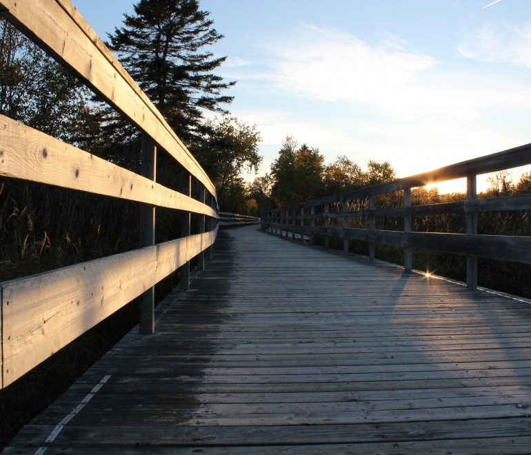 Sentier Le Littoral
