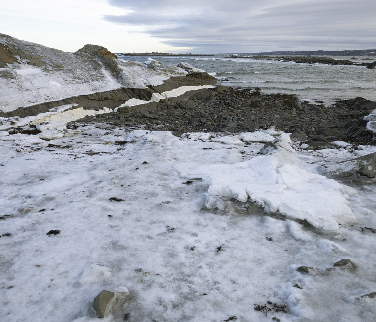 Dévoilement de l’œuvre Coup de cœur 2023 de la galerie d’art Léonard-Parent